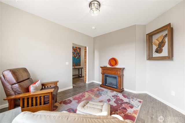 living area with a glass covered fireplace, baseboards, and wood finished floors