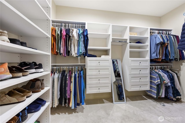 spacious closet with carpet