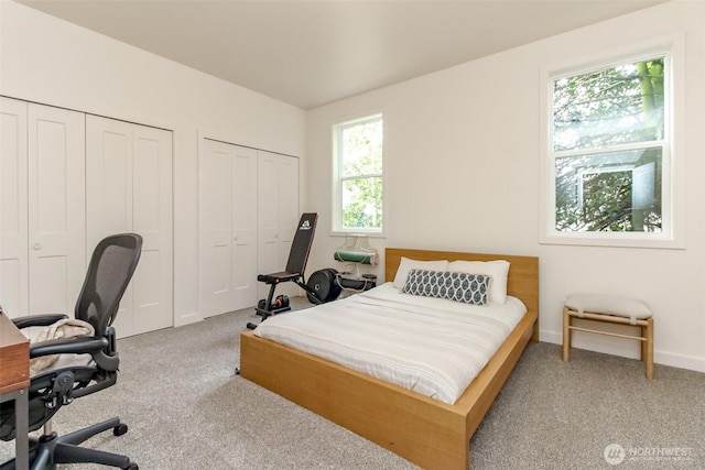 carpeted bedroom with two closets