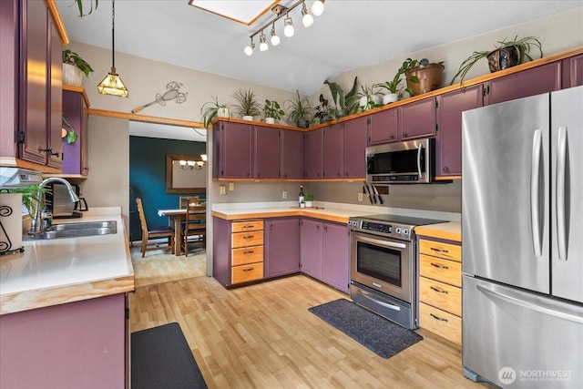 kitchen with light wood-style flooring, appliances with stainless steel finishes, light countertops, and a sink