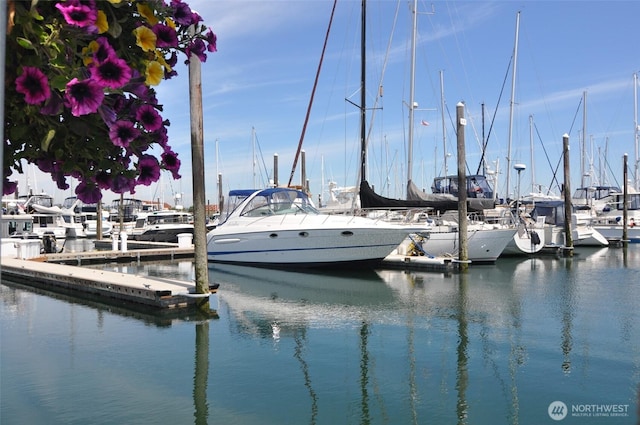 dock area with a water view