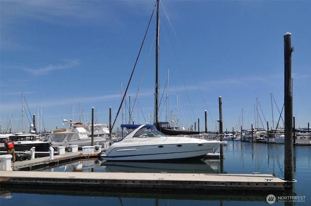 dock area with a water view