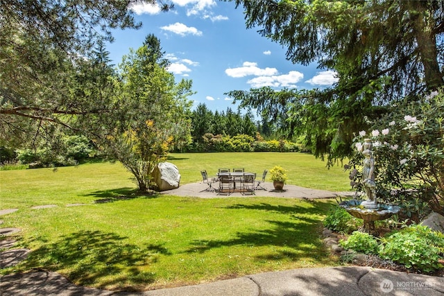 view of yard with a patio area