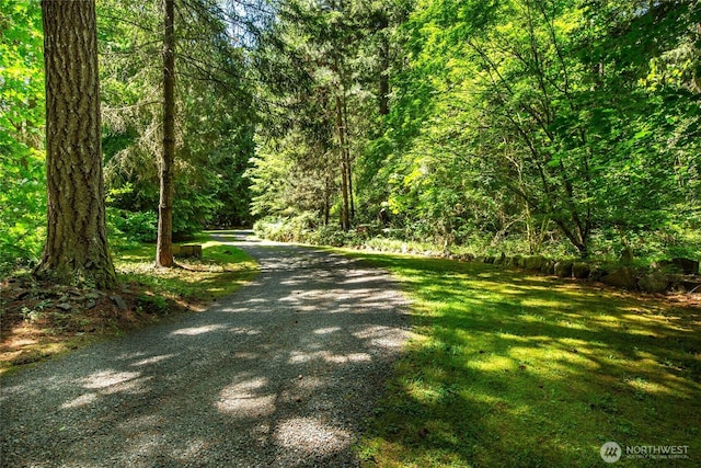 view of road featuring a wooded view