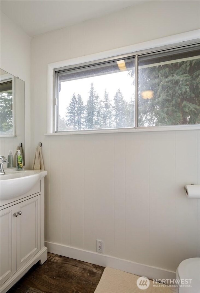 bathroom featuring toilet, vanity, and wood finished floors