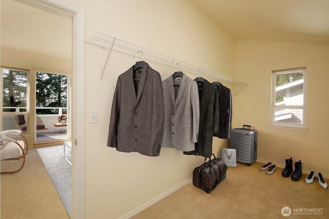 walk in closet featuring lofted ceiling and carpet flooring