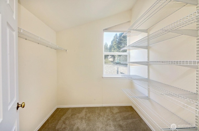 spacious closet with carpet flooring