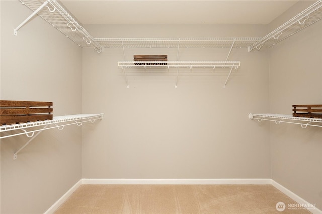 walk in closet featuring light colored carpet