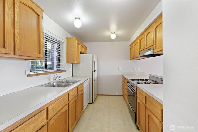 kitchen featuring white appliances, baseboards, a sink, light countertops, and under cabinet range hood