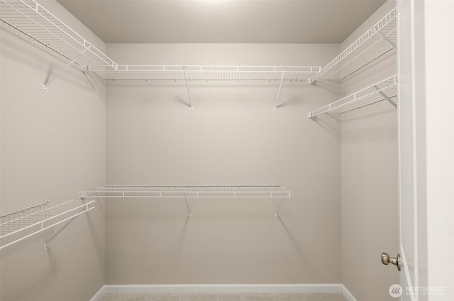 view of walk in closet