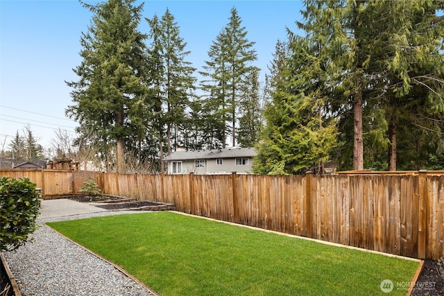 view of yard with a patio and a fenced backyard