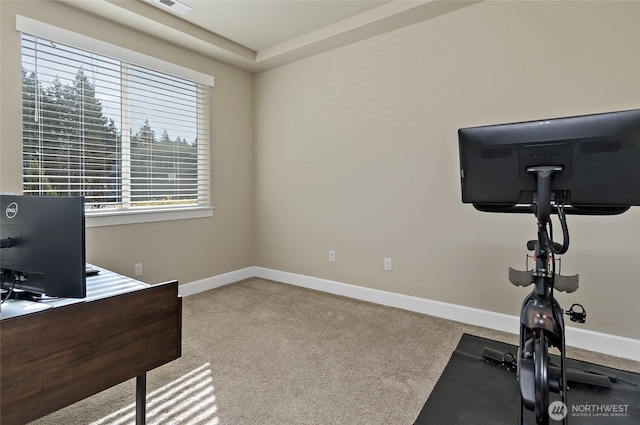 exercise area featuring baseboards and carpet floors