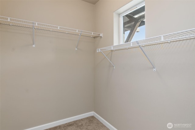 spacious closet with carpet floors