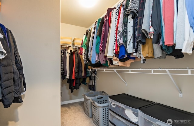 walk in closet with carpet flooring