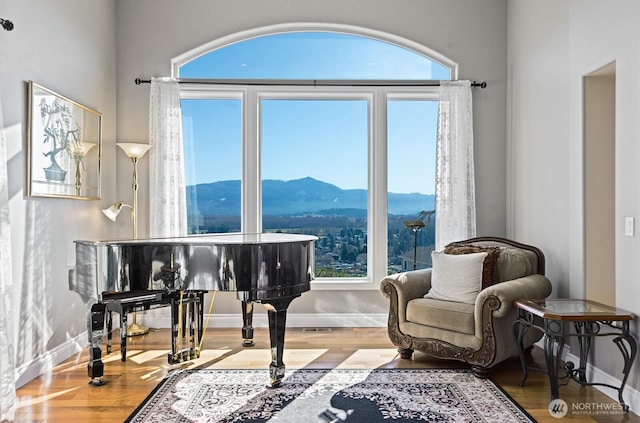 living area featuring a mountain view, baseboards, and wood finished floors