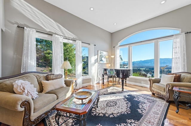 living area featuring recessed lighting, a mountain view, baseboards, and wood finished floors