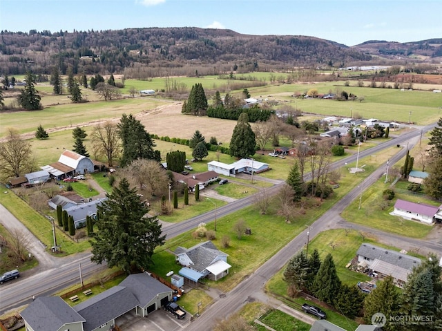 drone / aerial view with a rural view and a mountain view