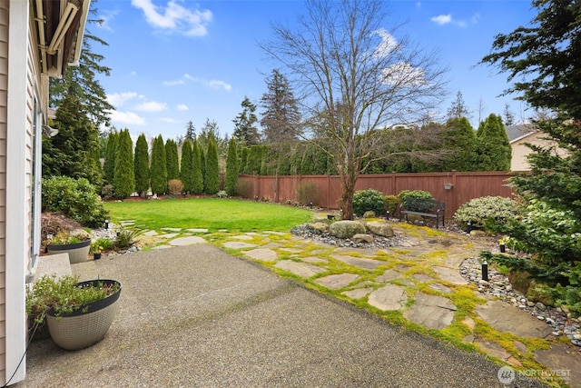 view of yard with a patio area and fence private yard