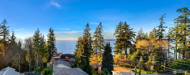 Listing photo 3 for 8038 Cyrus Pl, Edmonds WA 98026