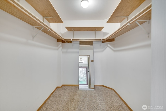 walk in closet featuring carpet flooring