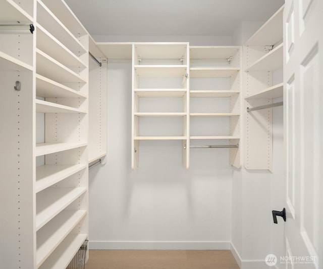 walk in closet with wood finished floors