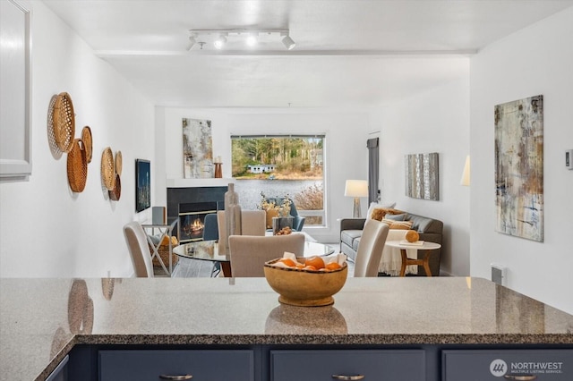 living area featuring a glass covered fireplace and track lighting