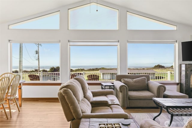 living room featuring lofted ceiling and wood finished floors