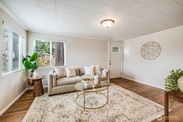 living area featuring baseboards, wood finished floors, and ornamental molding