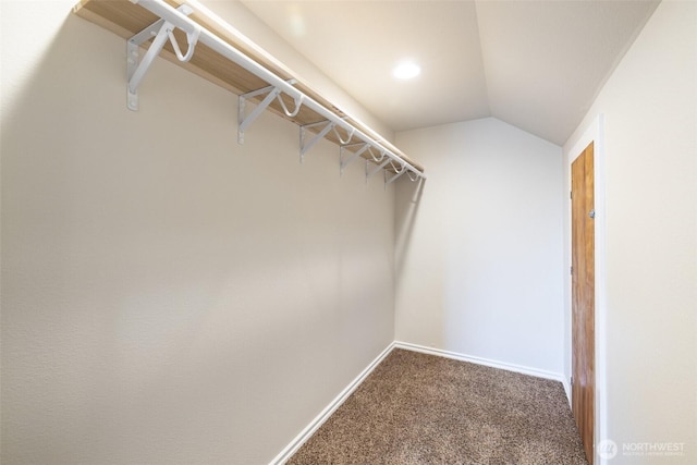 walk in closet featuring lofted ceiling and carpet