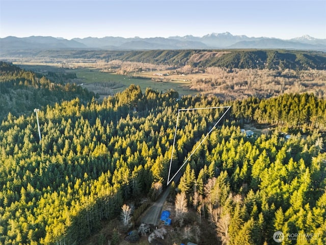 0LOTD E Eagle Point Dr, Shelton WA, 98584 land for sale