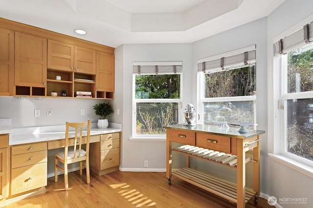 office space with a raised ceiling, plenty of natural light, light wood-style floors, and baseboards