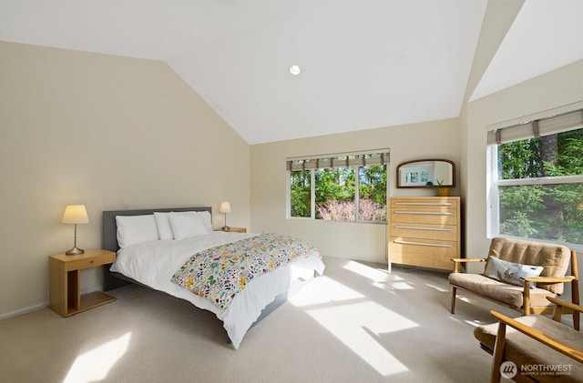 bedroom featuring carpet flooring and high vaulted ceiling