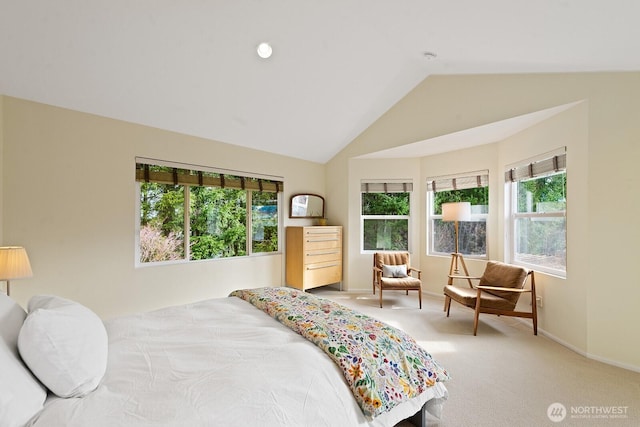 carpeted bedroom with baseboards and vaulted ceiling