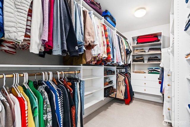 walk in closet featuring carpet floors