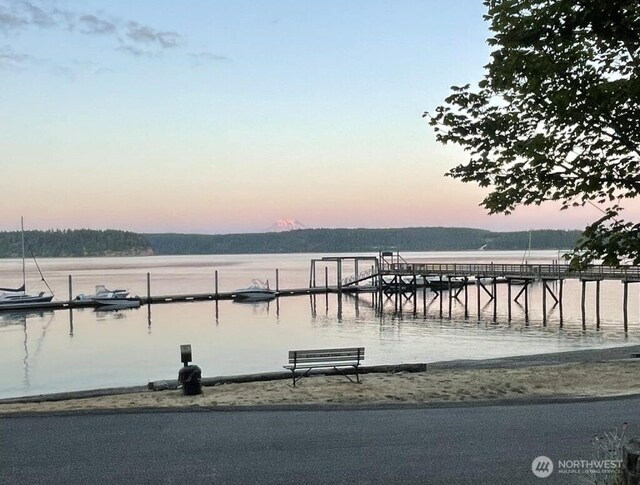 10412 107th Street Ct, Anderson Island, WA 98303