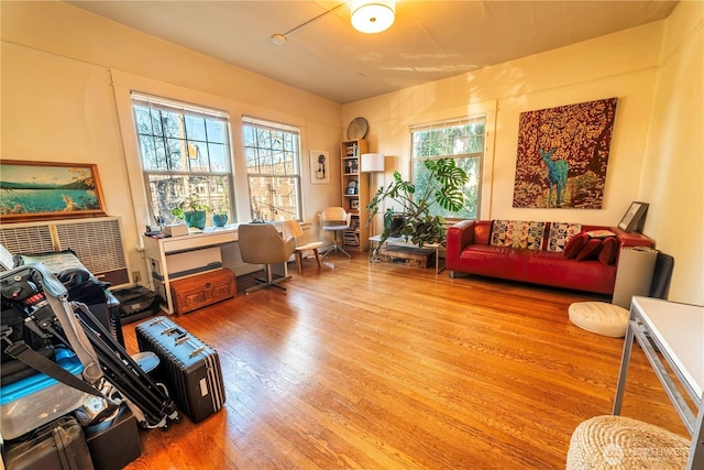 living area featuring plenty of natural light and wood finished floors