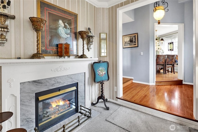 interior details featuring wood finished floors, baseboards, and a premium fireplace