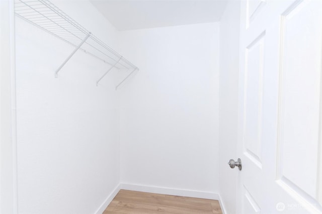 walk in closet featuring light wood-style floors