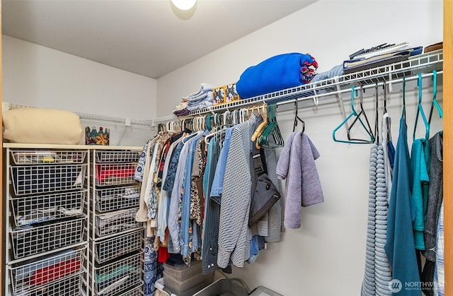 view of walk in closet