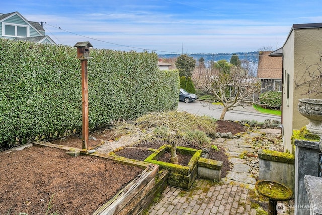 view of yard with a vegetable garden and fence