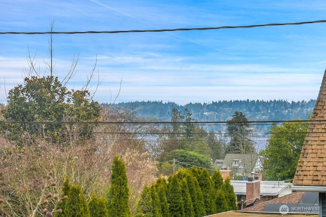 property view of water featuring a view of trees