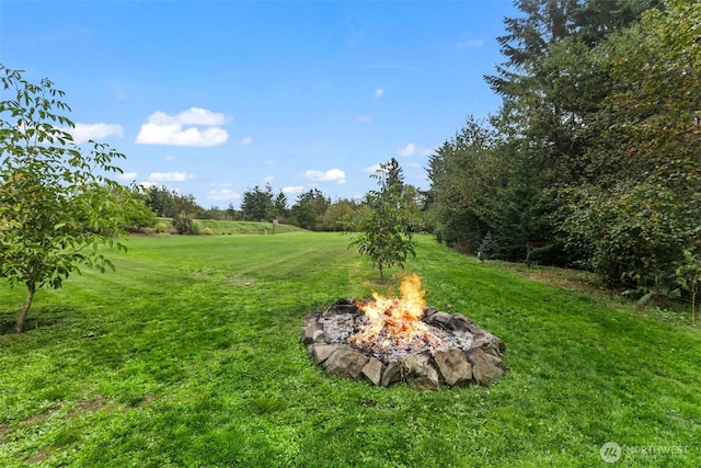 view of yard with a fire pit