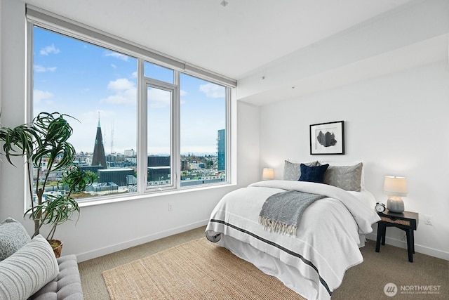 bedroom featuring baseboards, a view of city, and carpet flooring