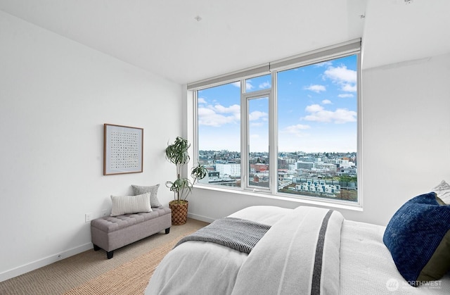 bedroom featuring baseboards, carpet, and a view of city