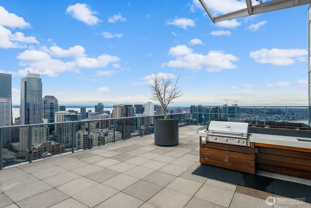 view of patio / terrace featuring area for grilling and a view of city