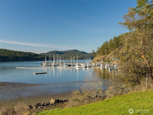 239 Shoreland Dr, Lopez Island, WA 98261 - view of water feature