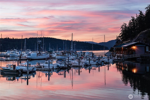 239 Shoreland Dr, Lopez Island, WA 98261 - exterior space featuring a water and mountain view
