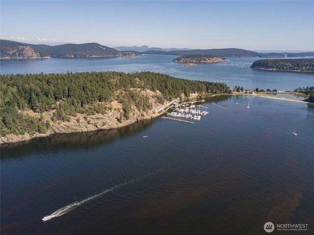 239 Shoreland Dr, Lopez Island, WA 98261 - drone / aerial view featuring a forest view and a water and mountain view
