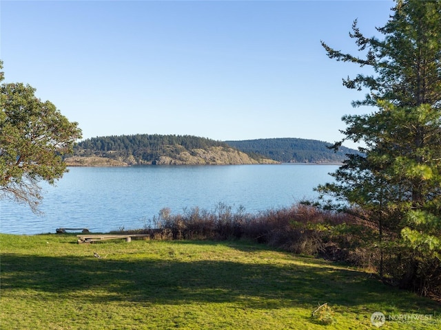 239 Shoreland Dr, Lopez Island, WA 98261 - water view featuring a view of trees