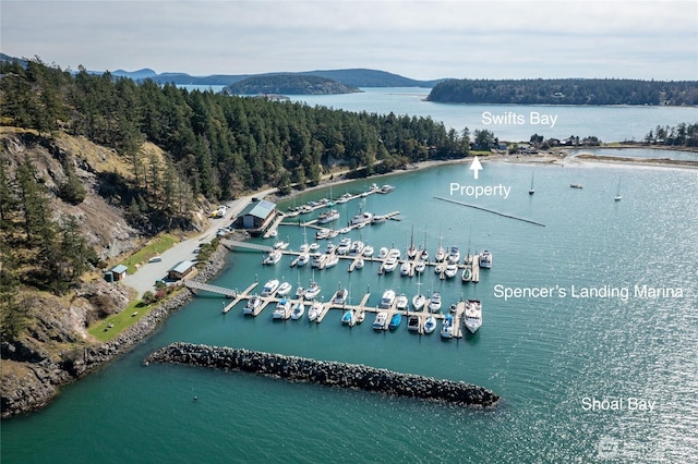 239 Shoreland Dr, Lopez Island, WA 98261 - aerial view with a wooded view and a water view